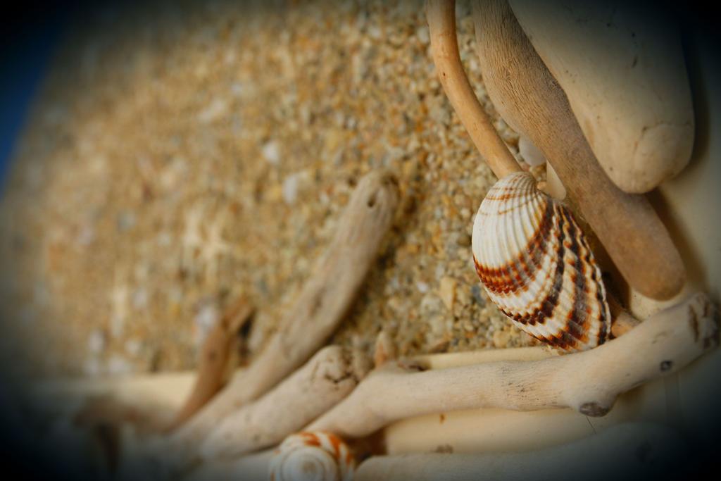 Hotel Kostis スキアトスタウン エクステリア 写真
